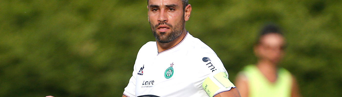 perrin2009